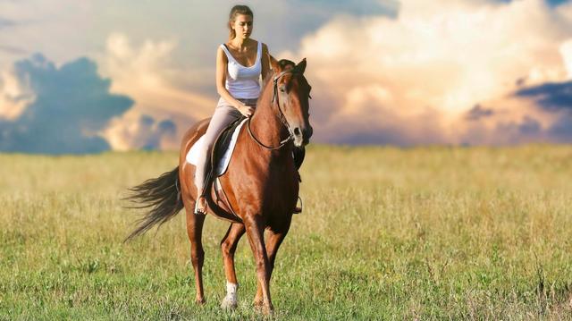Projížďky na koni v USA